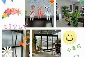 千葉店みどりがいっぱいです(^^)/サムネイル