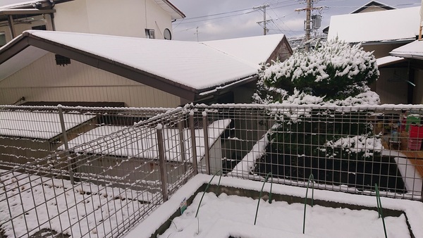 【ハイエース カスタム】ローダウンされている方これに絶対交換してください！