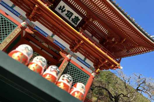 11/6 新着 CRS大阪 即納車紹介【ハイエースキャラバン プロボックス デリカ タウンエース トライトン  新車 中古車 カスタムカー】日々更新中！サムネイル