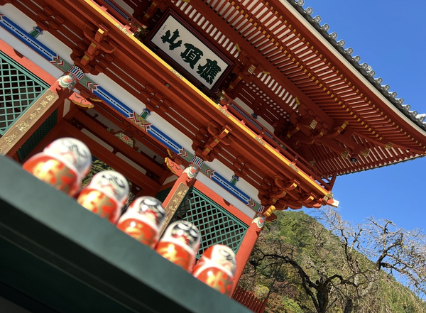 11/6 新着 CRS大阪 即納車紹介【ハイエースキャラバン プロボックス デリカ タウンエース トライトン  新車 中古車 カスタムカー】日々更新中！