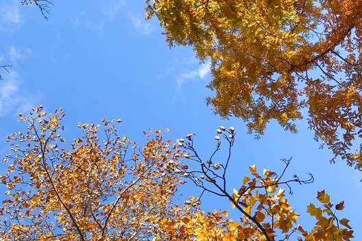 11/20 新着 CRS大阪 即納車紹介【ハイエースキャラバン プロボックス デリカ タウンエース トライトン  新車 中古車 カスタムカー】日々更新中！サムネイル