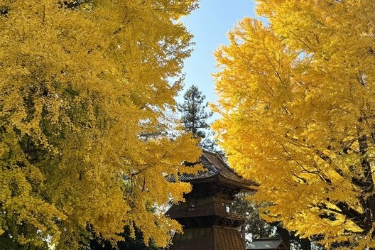 CRS千葉　展示車情報　12/9🦍🌴サムネイル