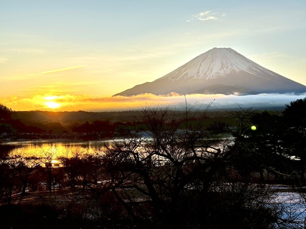 CRS千葉　展示車紹介🚗　1/13