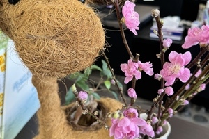 CRS千葉　🌈展示車紹介🌴 2/24サムネイル