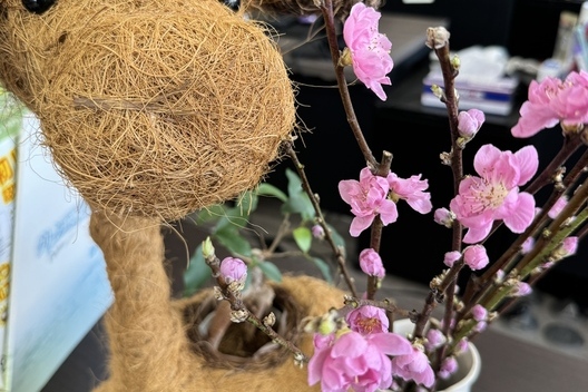 CRS千葉　🌈展示車紹介🌴 2/24サムネイル