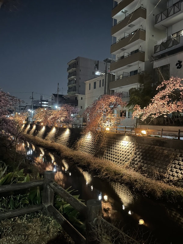 CRS千葉　🌈展示車紹介🌴3.24