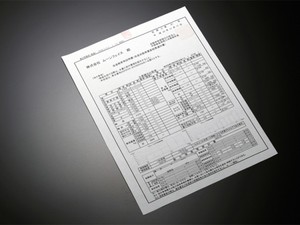 改造申請サポートサービス(チューンドリーフスプリング)　SSPAPR【代引不可】