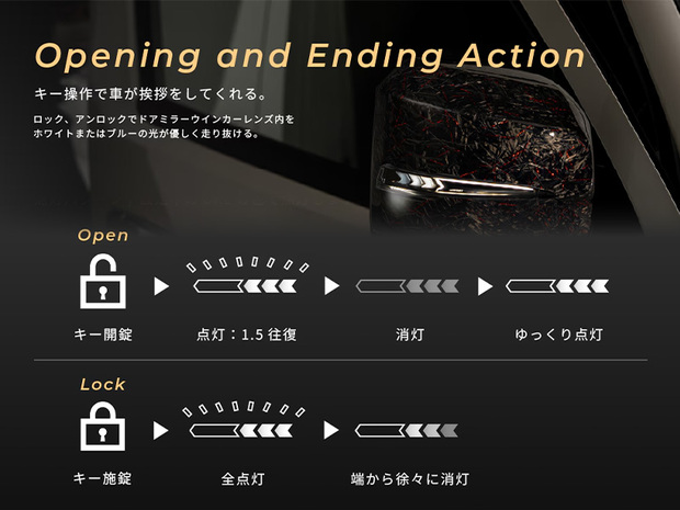AVEST ドアミラーウインカーレンズ付カバー フォージドカーボンカバー 6型以降