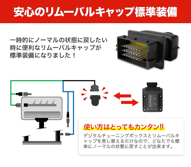 2022発売 TDI-Tuning TDIチューニング CRTD4 Petrol Tuning Box